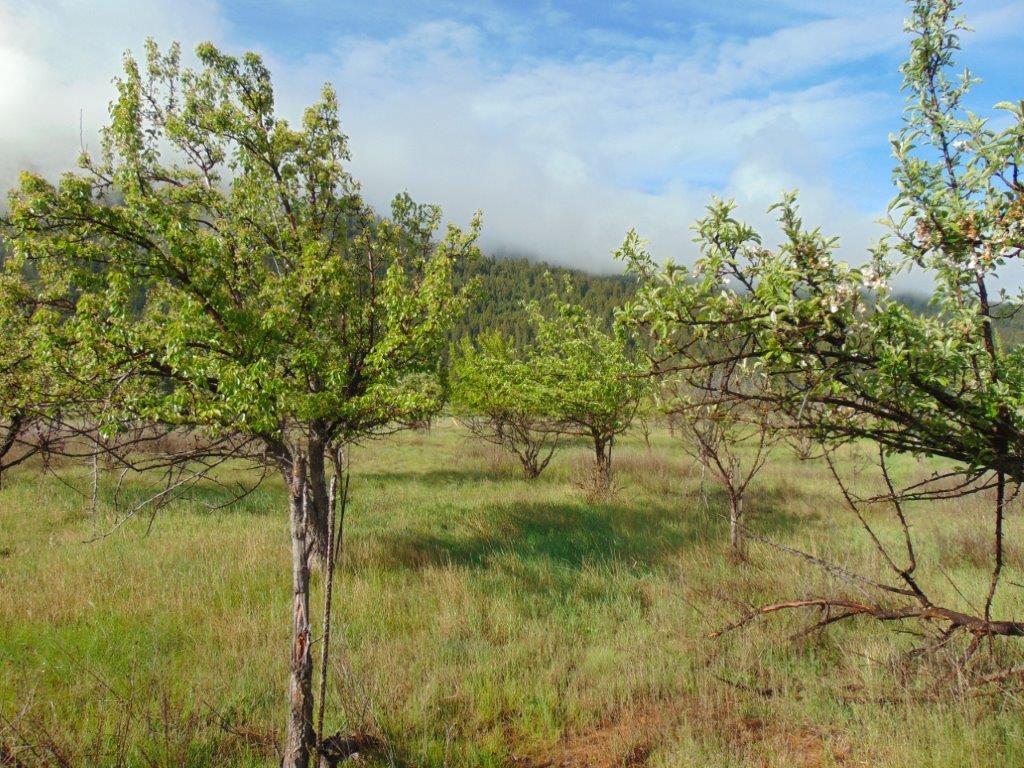 27235 Lazy Springs Road Clinton, MT 59825 - Photo 20 of 94 Gallery Image 20