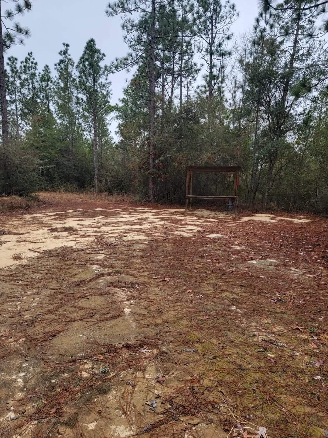 3900 High Ridge Road Crestview, FL 32539 - Photo 3 of 6 a backyard of a house with lots of green space