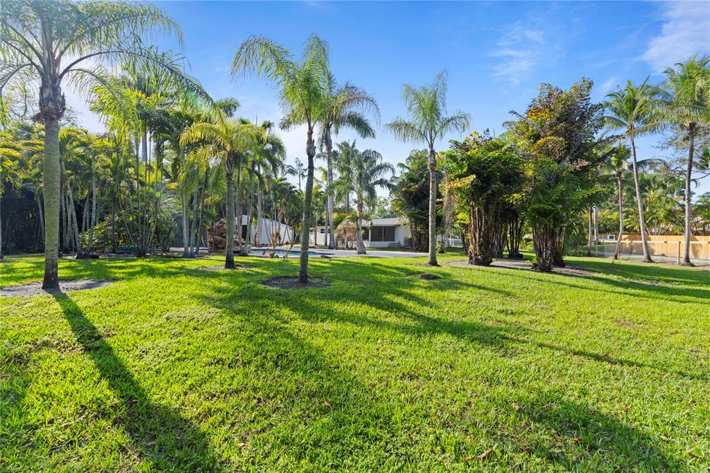 16900 Southwest 62nd Street Southwest Ranches, FL 33331 - Photo 5 of 48 a view of a park with palm trees
