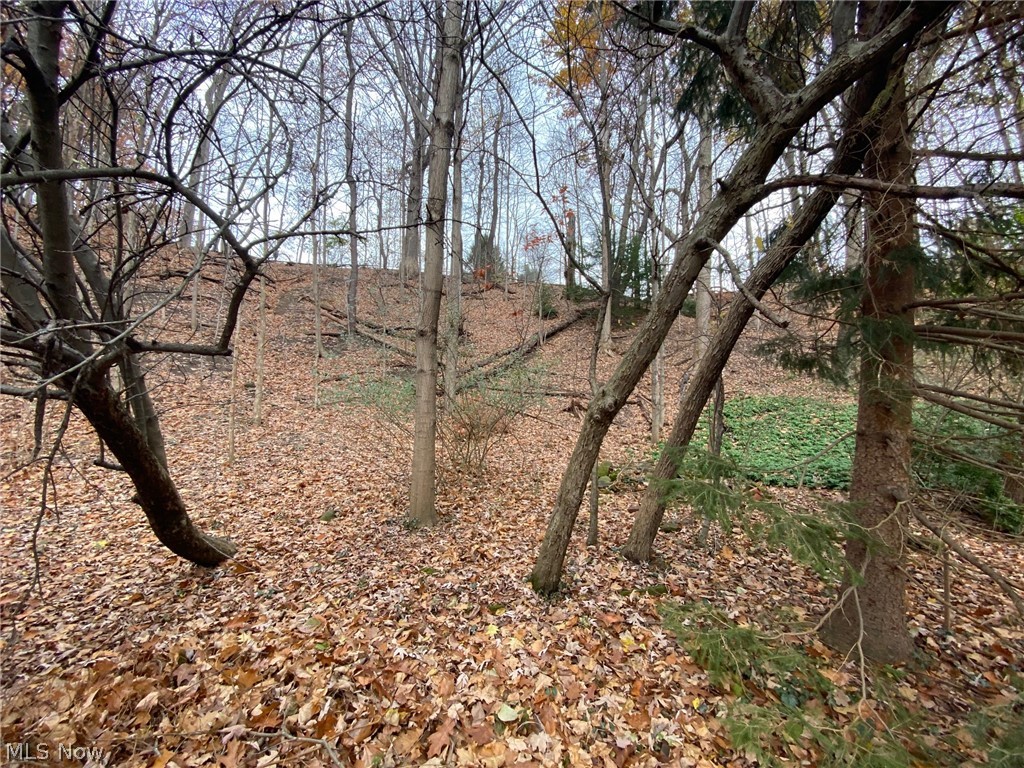 3731 Granger Road Akron, OH 44333 - Photo 8 of 35 View from back looking up the hill