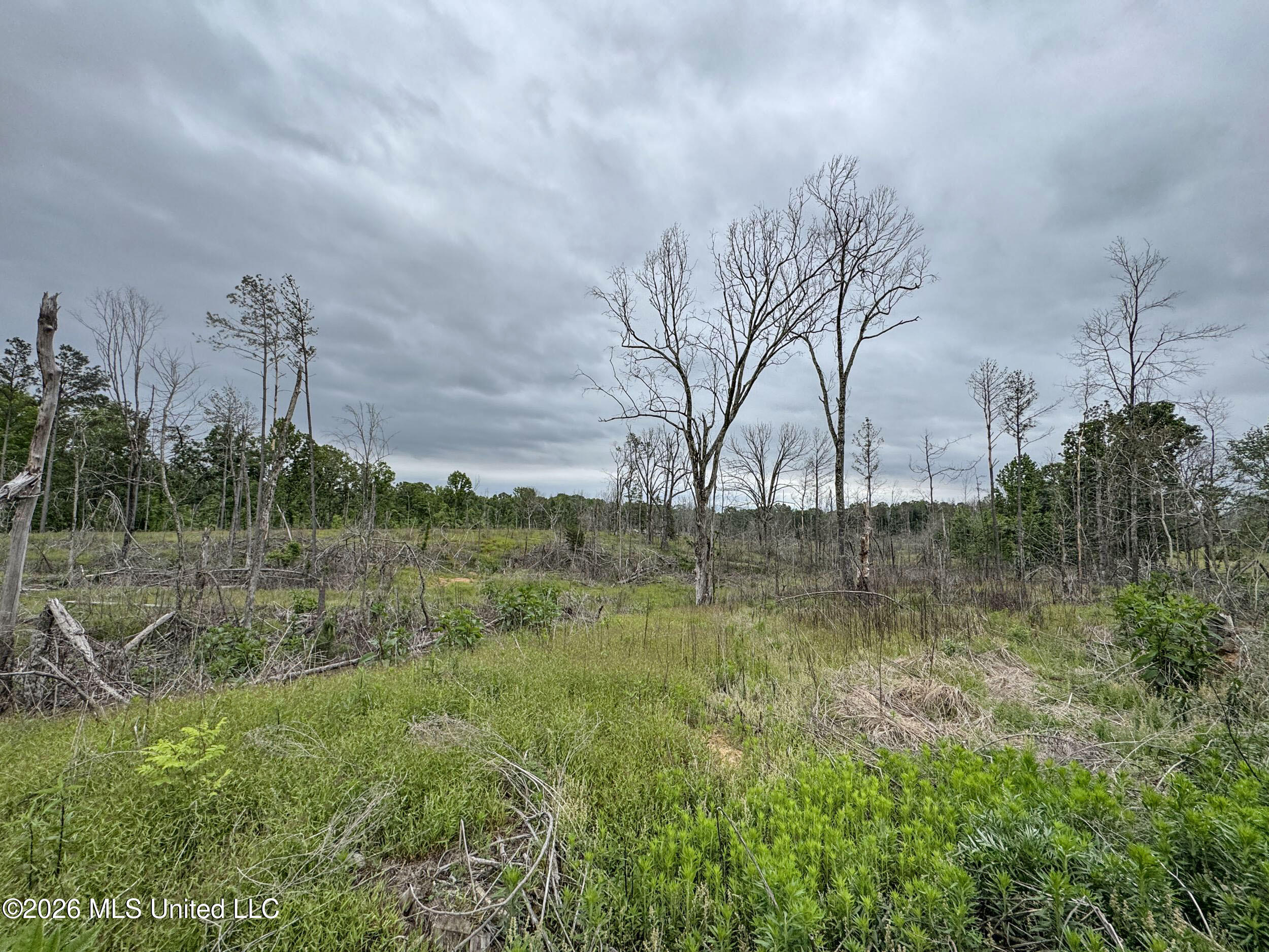 Wayne Massie Road Como, MS 38619 - Photo 163 of 184 5cdtbs111