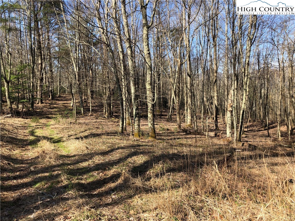 1 Shulls Mill Road Boone, NC 28607 - Photo 11 of 44 Gallery Image 11