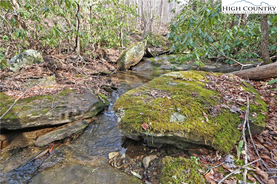 1 Shulls Mill Road Boone, NC 28607 - Photo 21 of 44 Gallery Image 21