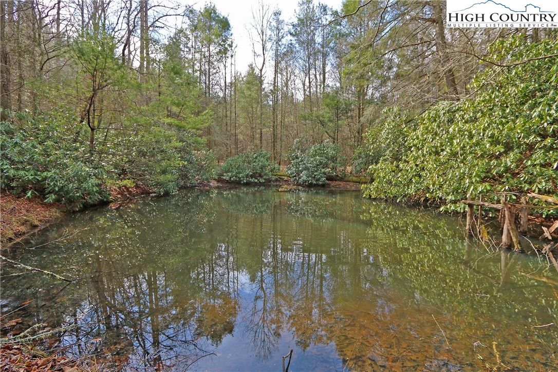 1 Shulls Mill Road Boone, NC 28607 - Photo 22 of 44 Gallery Image 22