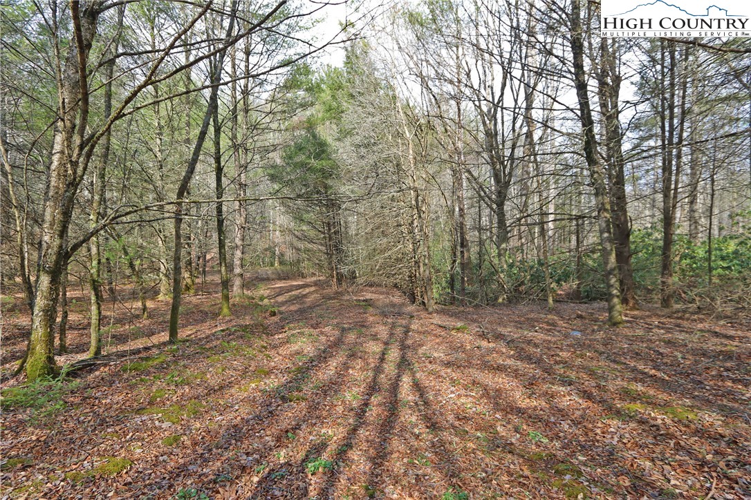 1 Shulls Mill Road Boone, NC 28607 - Photo 23 of 44 Gallery Image 23