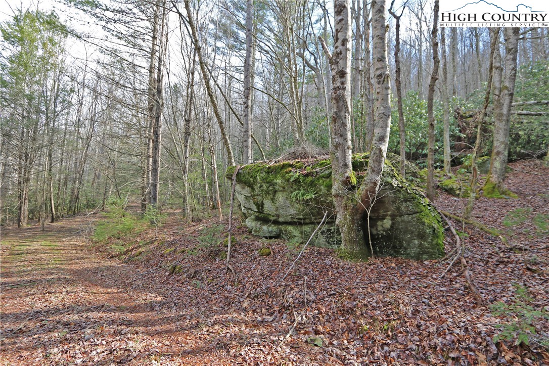 1 Shulls Mill Road Boone, NC 28607 - Photo 25 of 44 Gallery Image 25