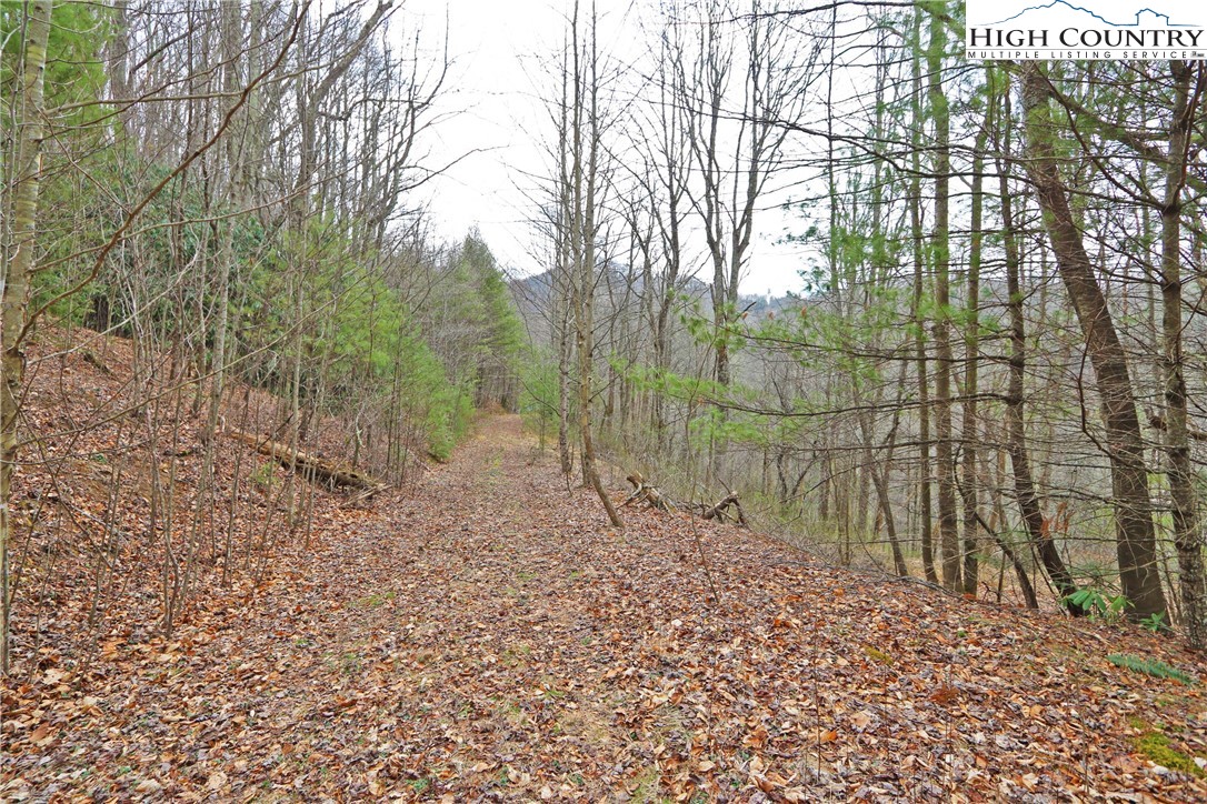 1 Shulls Mill Road Boone, NC 28607 - Photo 27 of 44 Gallery Image 27