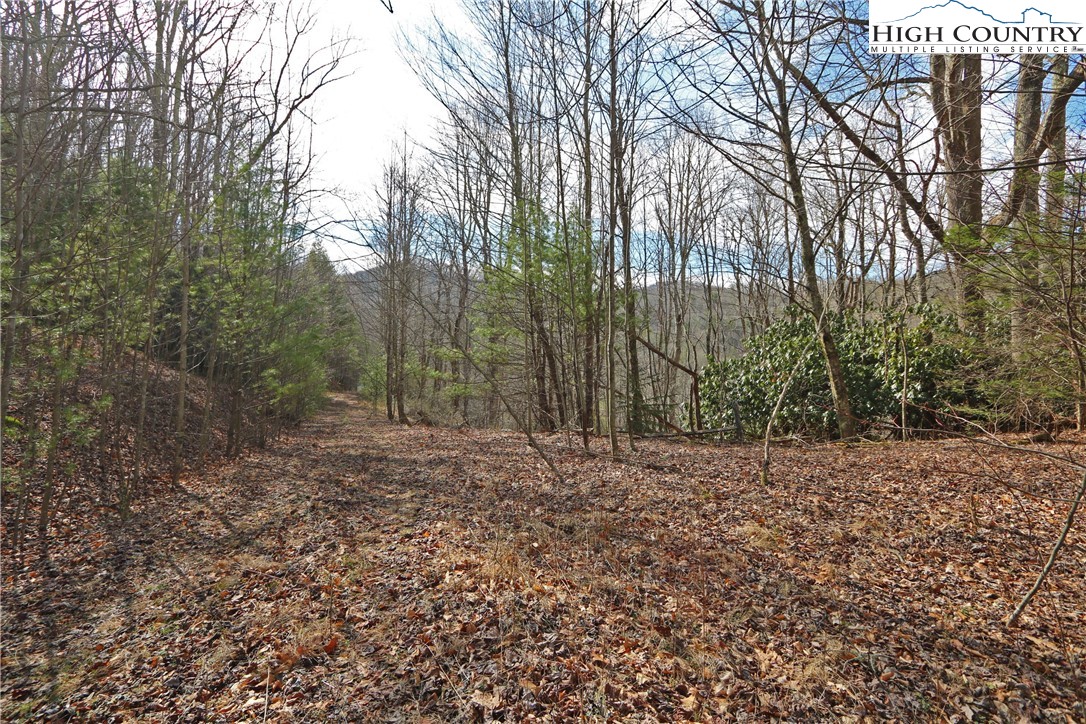 1 Shulls Mill Road Boone, NC 28607 - Photo 29 of 44 Gallery Image 29