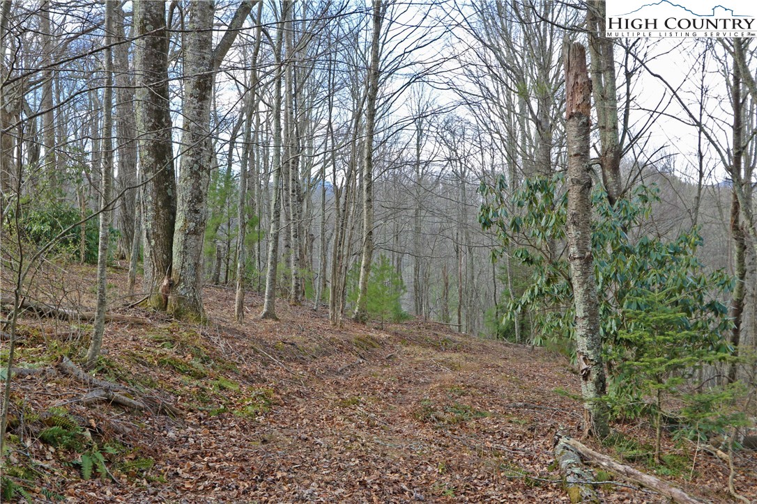 1 Shulls Mill Road Boone, NC 28607 - Photo 31 of 44 Gallery Image 31