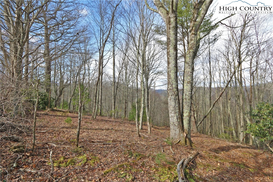 1 Shulls Mill Road Boone, NC 28607 - Photo 33 of 44 Gallery Image 33