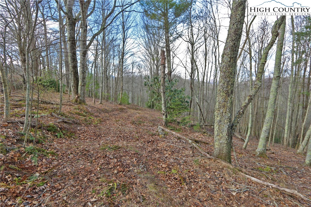 1 Shulls Mill Road Boone, NC 28607 - Photo 34 of 44 Gallery Image 34