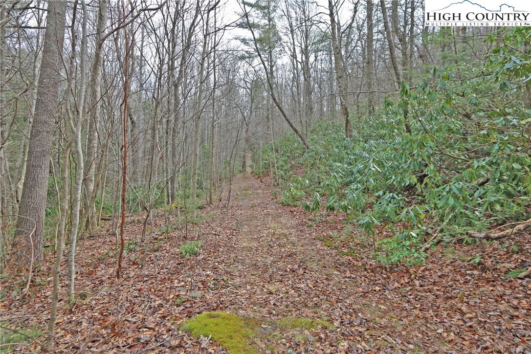 1 Shulls Mill Road Boone, NC 28607 - Photo 36 of 44 Gallery Image 36