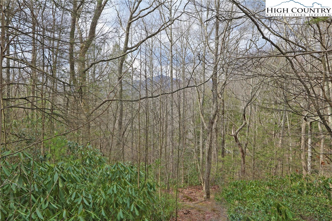 1 Shulls Mill Road Boone, NC 28607 - Photo 37 of 44 Gallery Image 37