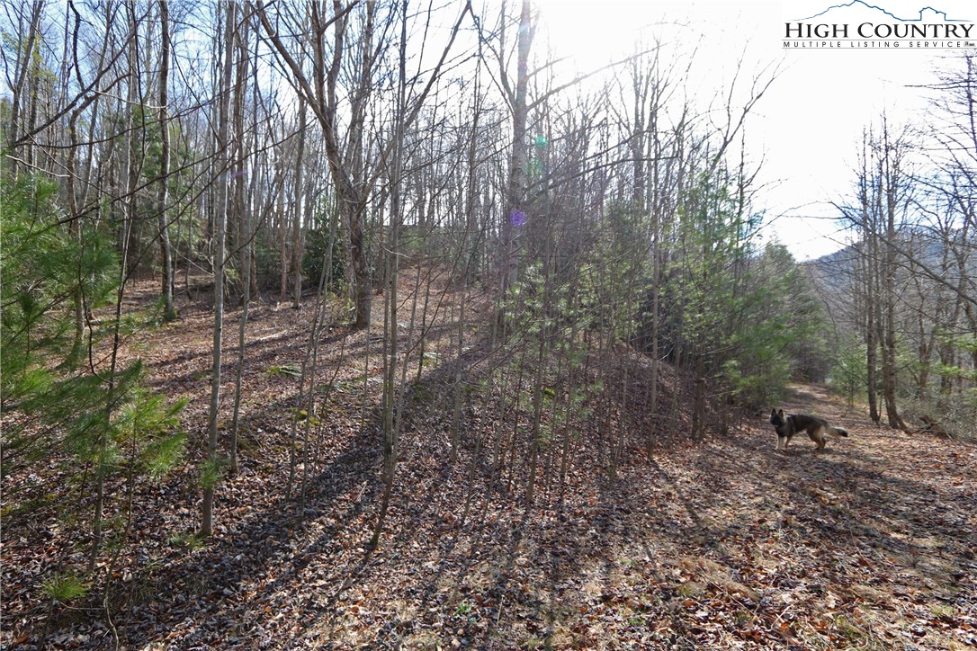 1 Shulls Mill Road Boone, NC 28607 - Photo 38 of 44 Gallery Image 38