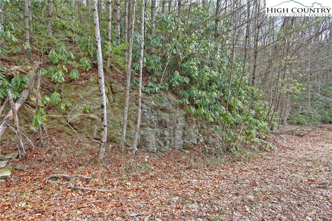 1 Shulls Mill Road Boone, NC 28607 - Photo 40 of 44 Gallery Image 40