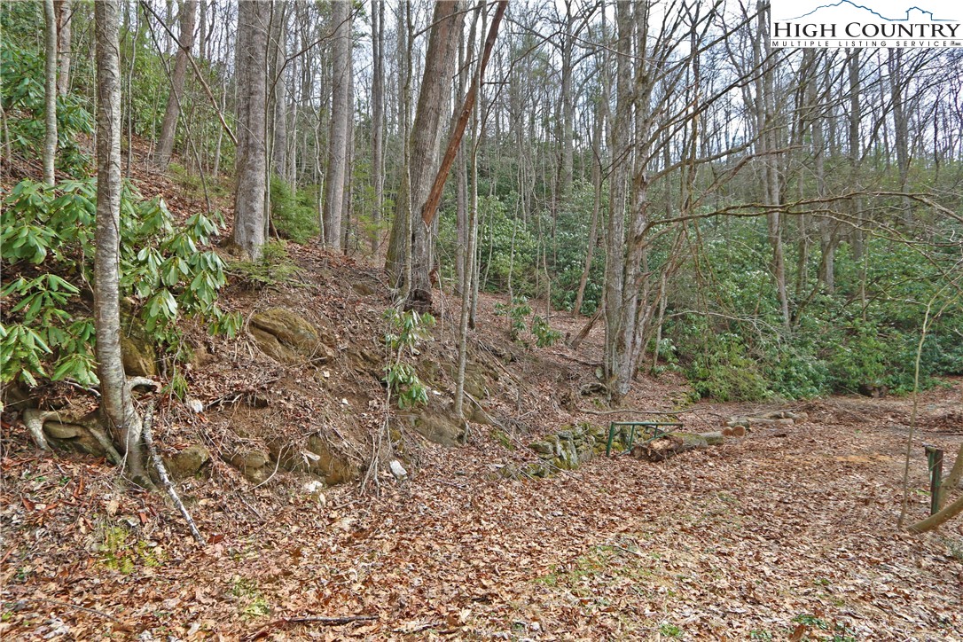 1 Shulls Mill Road Boone, NC 28607 - Photo 41 of 44 Gallery Image 41