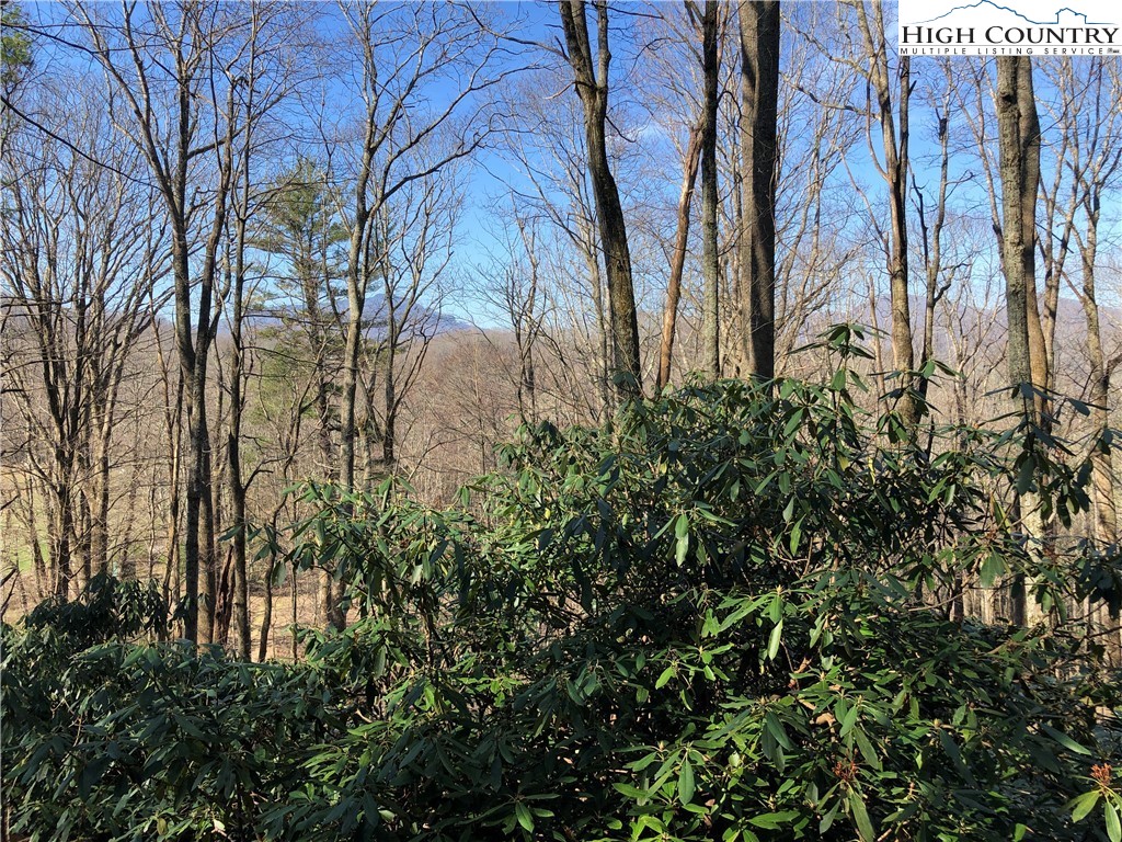1 Shulls Mill Road Boone, NC 28607 - Photo 8 of 44 Gallery Image 8