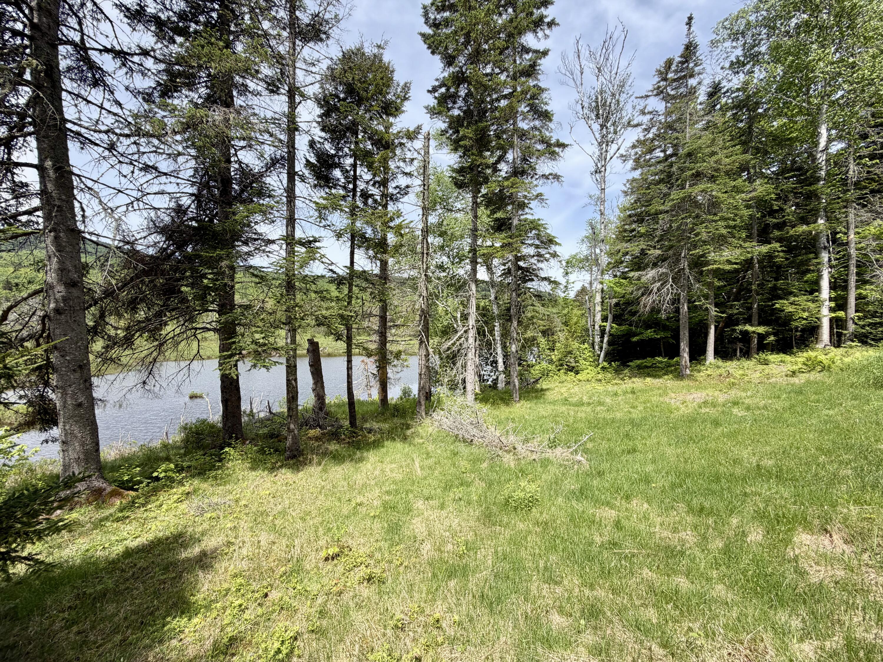 34 Bypass Road Sandy River Plt, ME 04970 - Photo 6 of 36 view