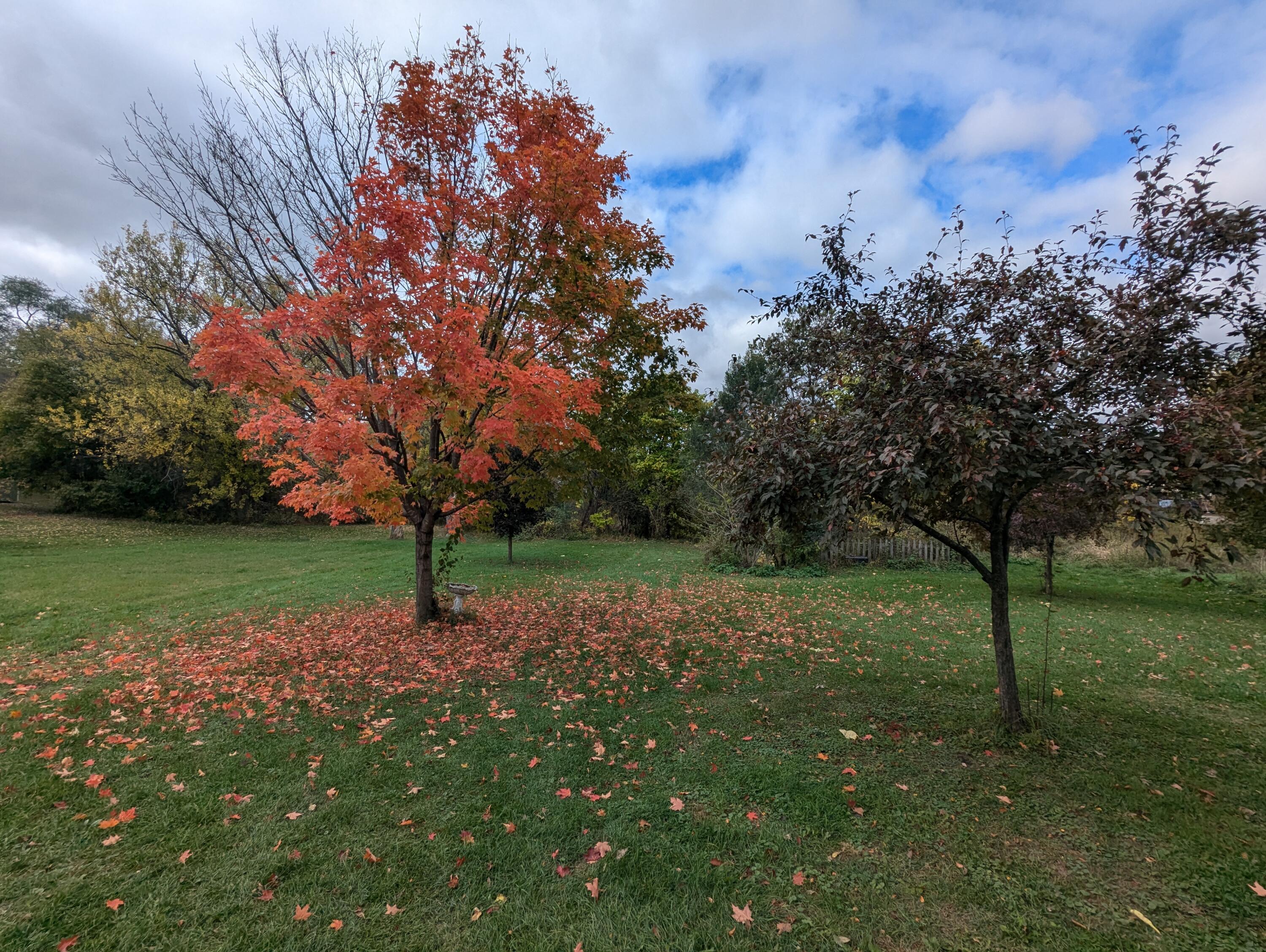 916 South Water Street Sparta, WI 54656 - Photo 5 of 31 PXL_20251023_165353809