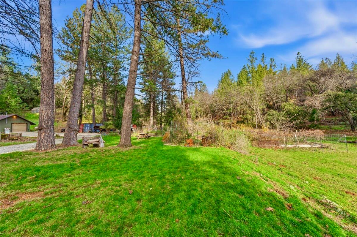 23325 Tree Farm Road Colfax, CA 95713 - Photo 17 of 21