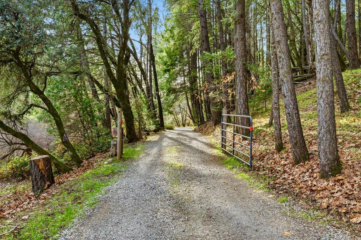 23325 Tree Farm Road Colfax, CA 95713 - Photo 18 of 21