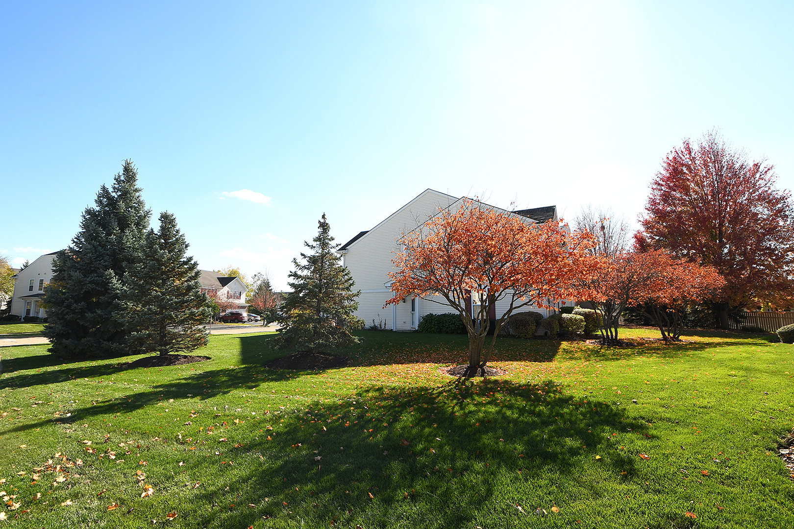 1977 Crestview Circle, Unit 1973 Romeoville, IL 60446 - Photo 5 of 19 a backyard of a house with lots of green space