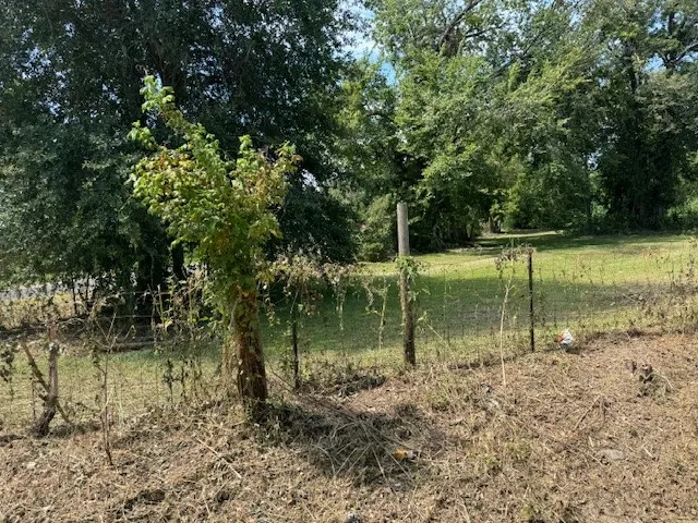 a view of lake with green space