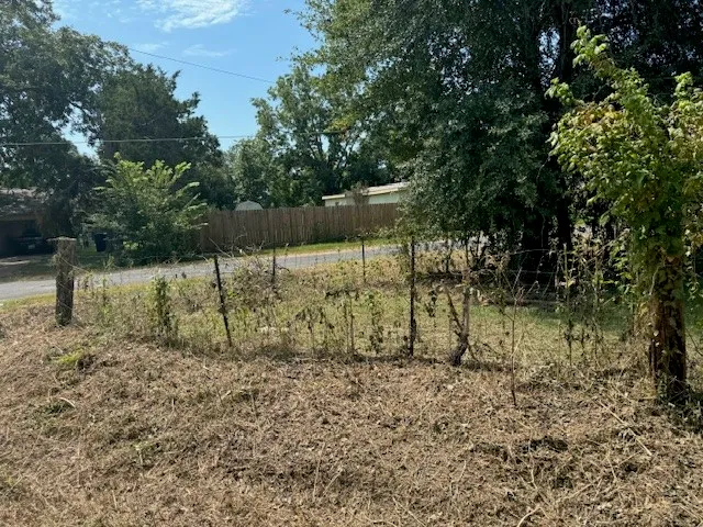 a backyard of a house with lots of trees