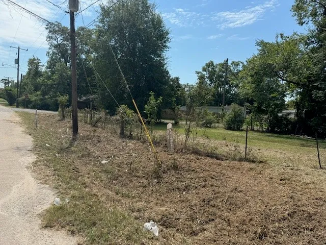 a view of a park with large trees