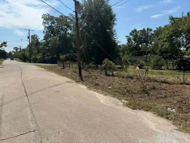 a view of backyard and trees
