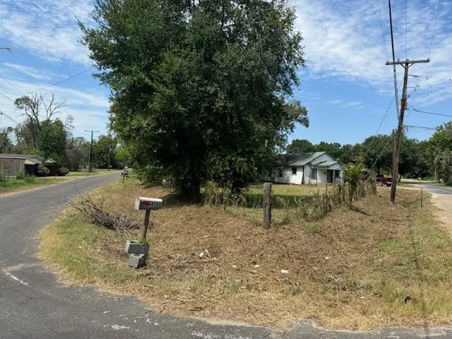 a view of a park with large trees