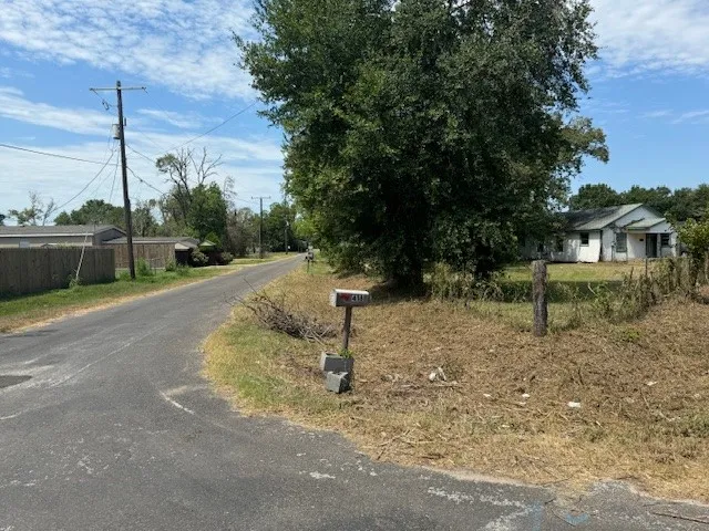 a view of a park with a tree