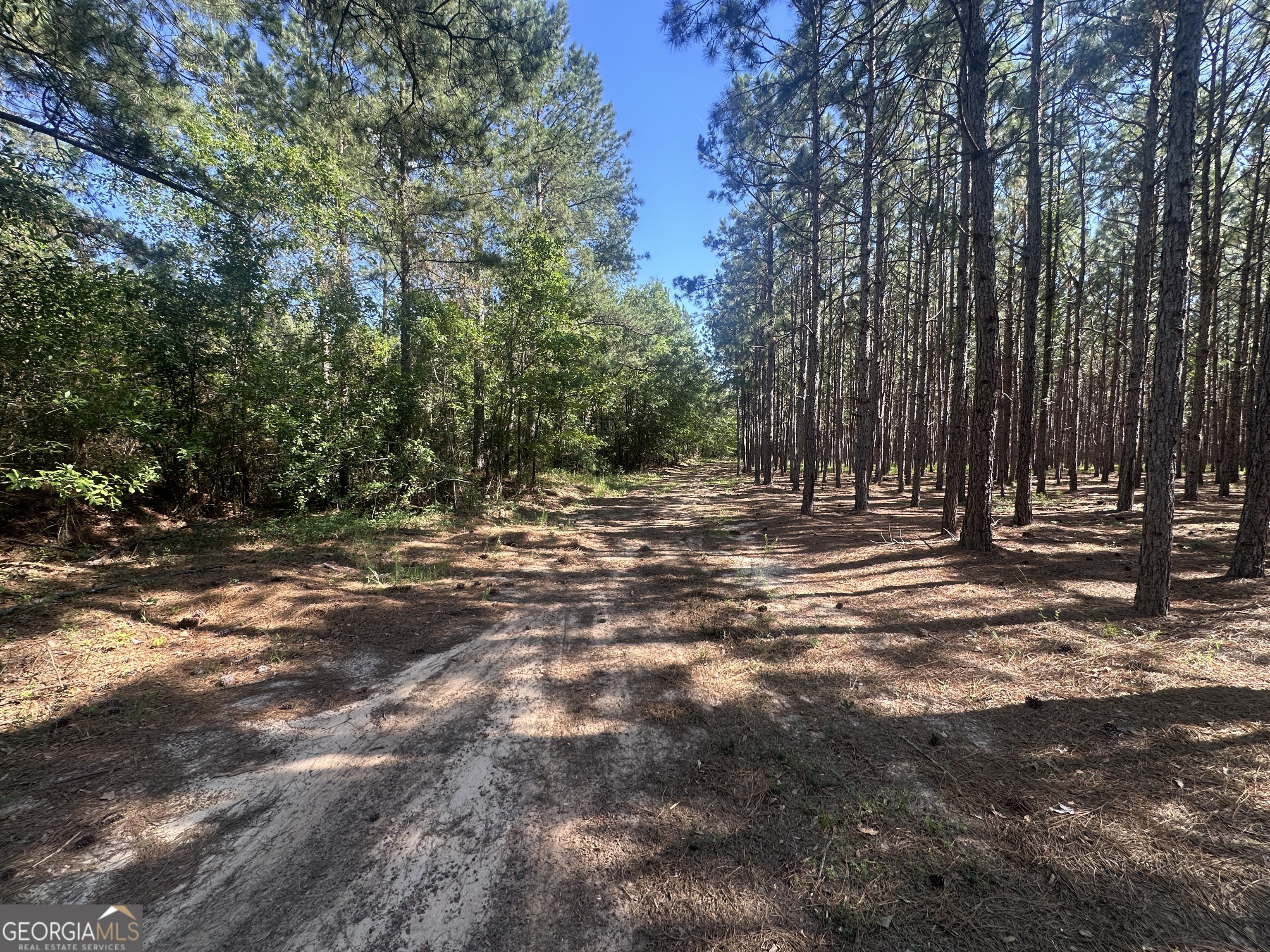 0 Dorsey Clark Road Sylvania, GA 30467 - Photo 11 of 16 a view of outdoor space with trees