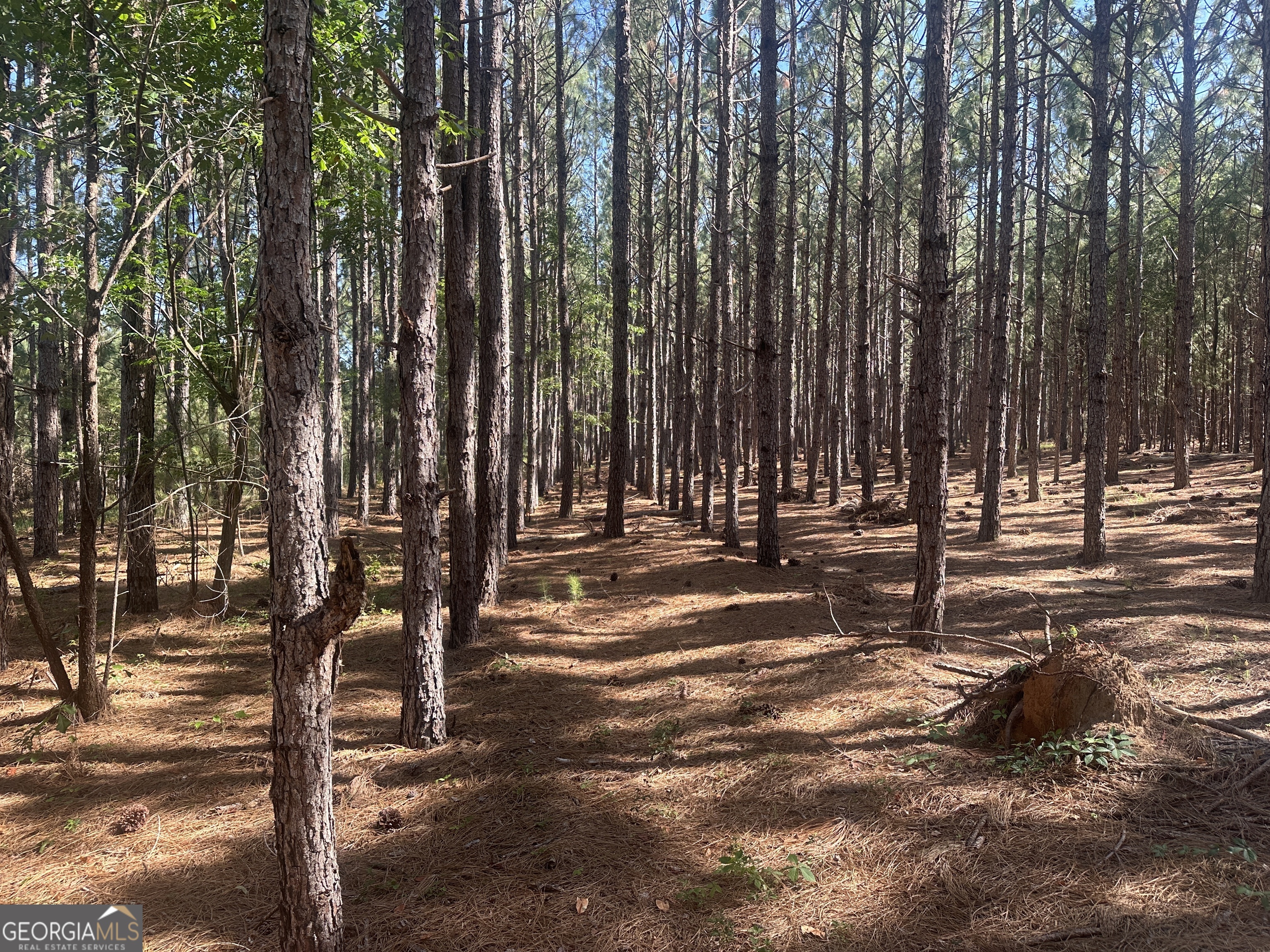 0 Dorsey Clark Road Sylvania, GA 30467 - Photo 3 of 16 a view of outdoor space with deck and trees