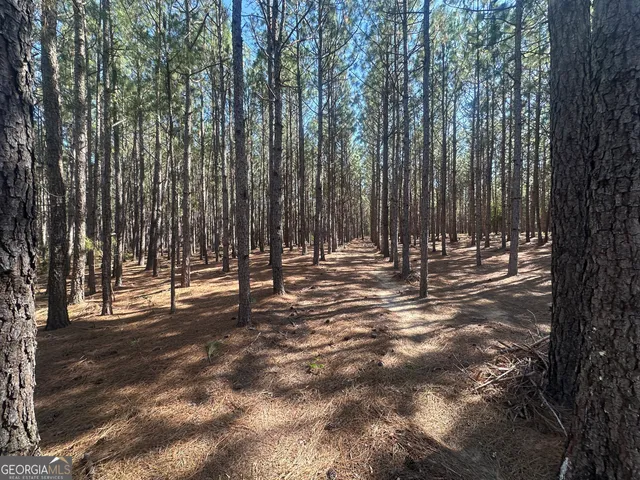 a view of outdoor space with yard