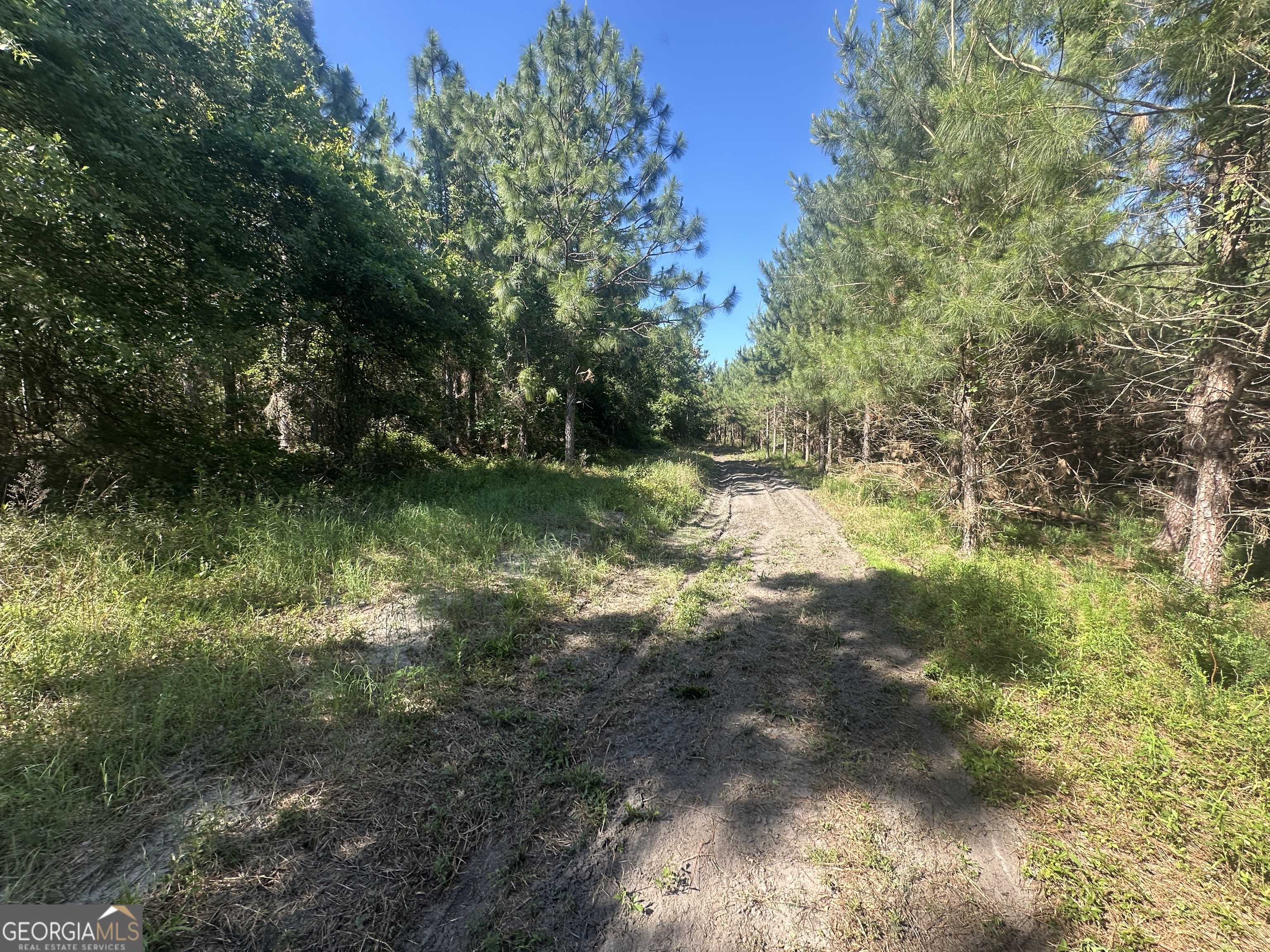 0 Dorsey Clark Road Sylvania, GA 30467 - Photo 8 of 16