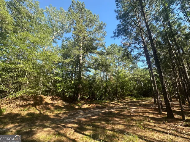 a view of outdoor space with trees