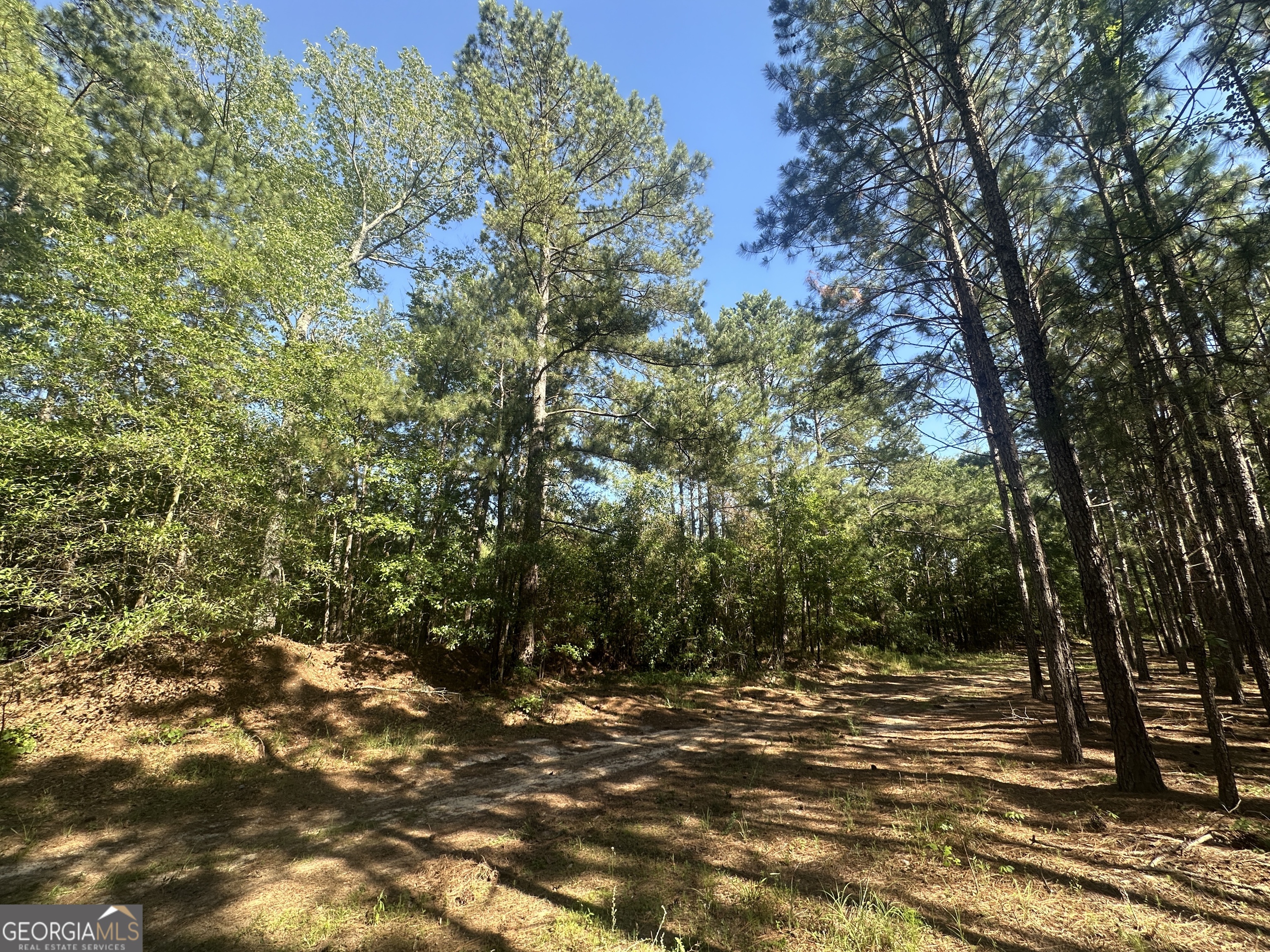 0 Dorsey Clark Road Sylvania, GA 30467 - Photo 10 of 16 a view of a yard with a tree