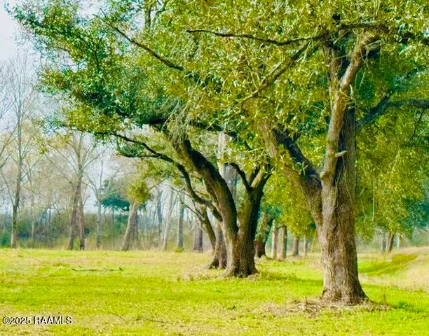 $71,000 | 0 Tbd 5th Street, Iota, LA 70543