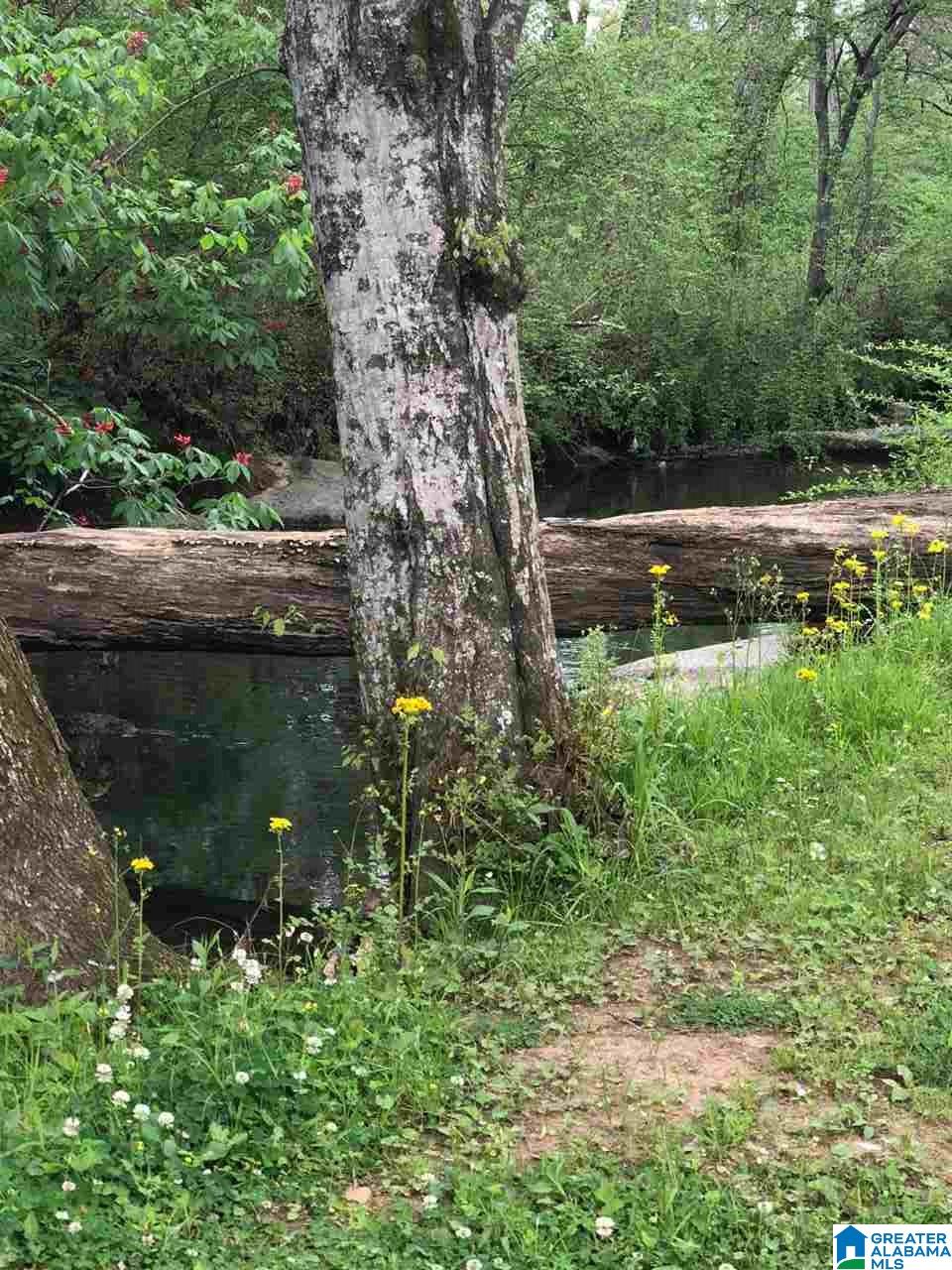 2064 Cedar Grove Road Leeds, AL 35094 - Photo 19 of 21