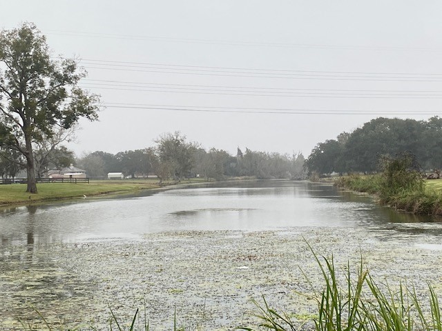 218 Cattle Drive Trail Angleton, TX 77515 - Photo 6 of 34 The bayou that runs through Bar X.