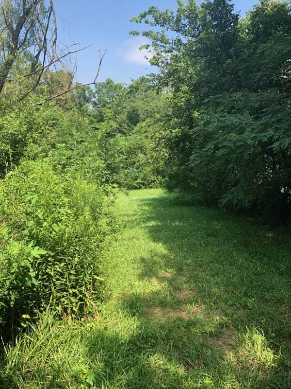 1430 Lemon Northcutt Road Dry Ridge, KY 41035 - Photo 3 of 10