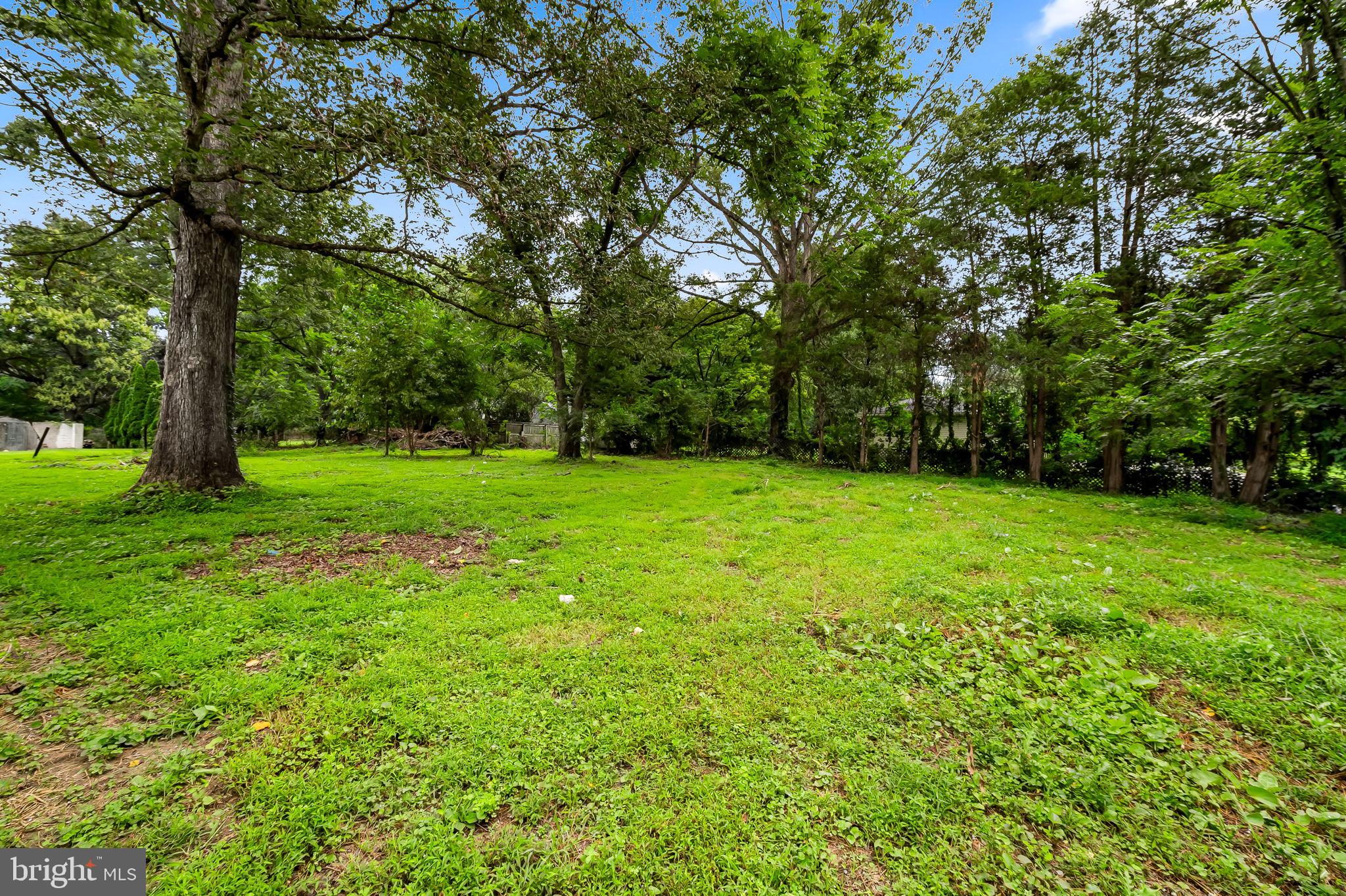 6751 White Rock Road Sykesville, MD 21784 - Photo 41 of 44 a view of a grassy field with trees