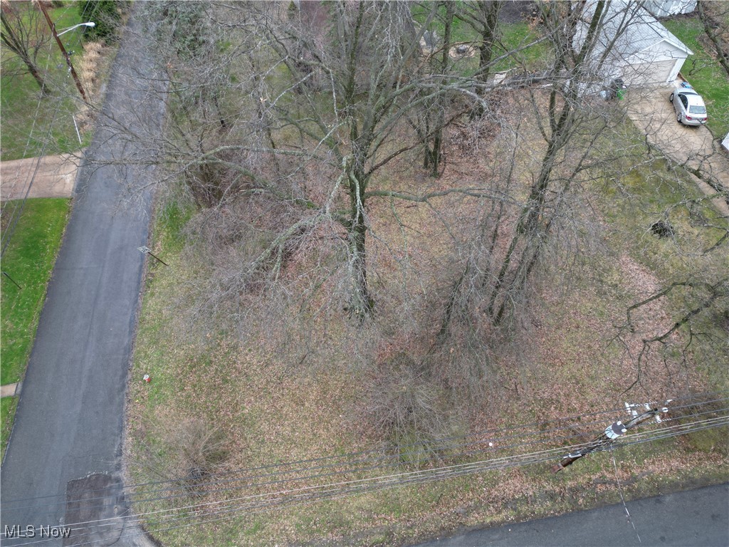 Tbd Meadowbrook Road Cleveland, OH 44125 - Photo 8 of 15