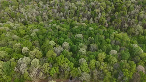 $1,320,000 | 2 Greenbriar Road, Franklin, TN 37064