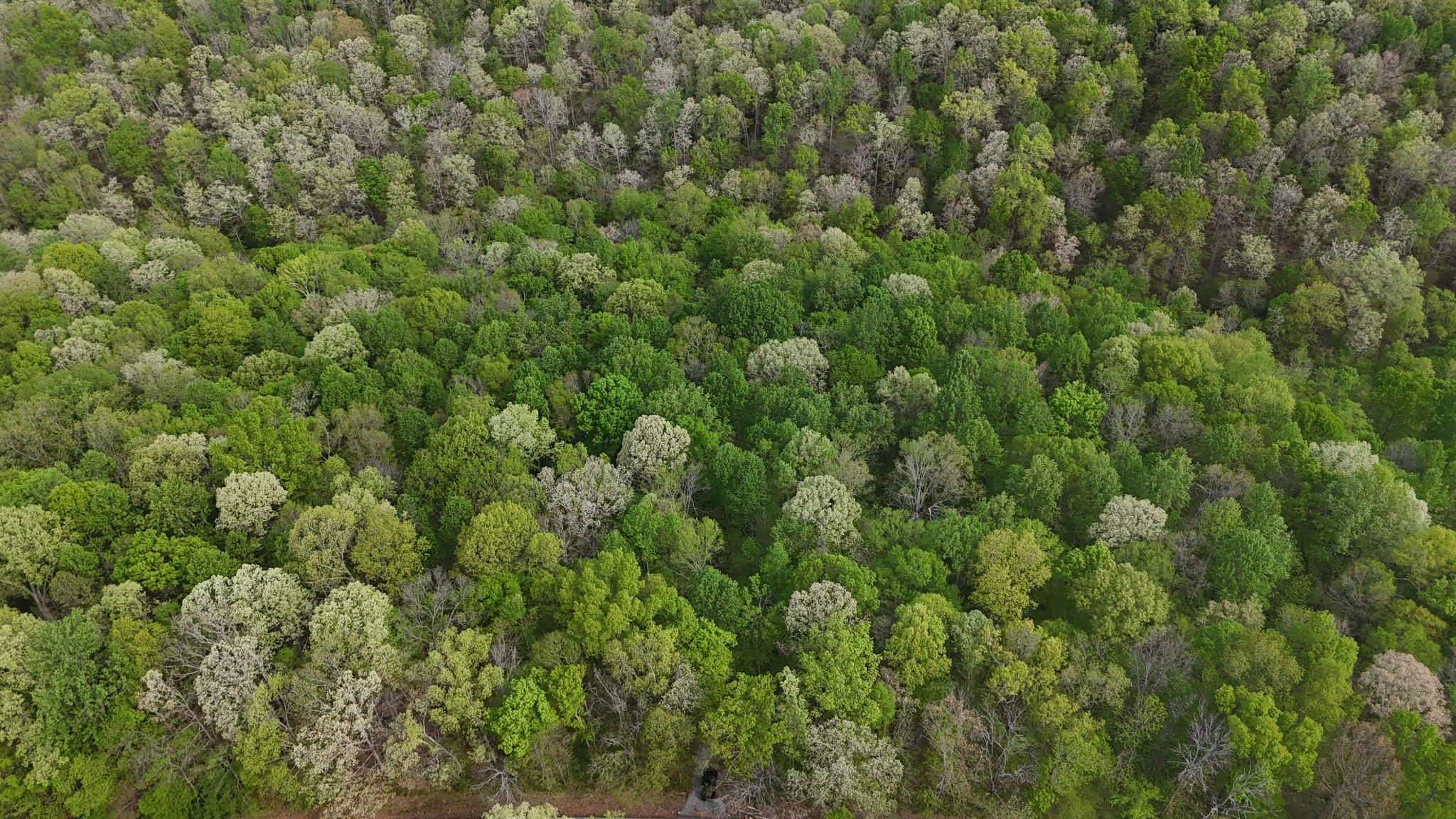 2 Greenbriar Road Franklin, TN 37064 - Photo 11 of 15