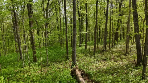 $1,320,000 | 2 Greenbriar Road, Franklin, TN 37064