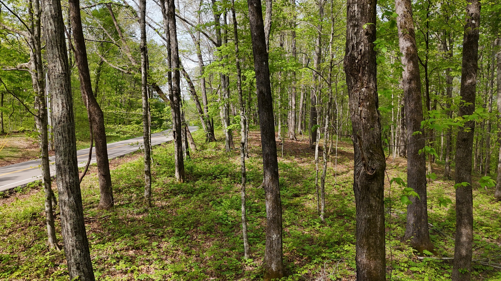 2 Greenbriar Road Franklin, TN 37064 - Photo 13 of 15