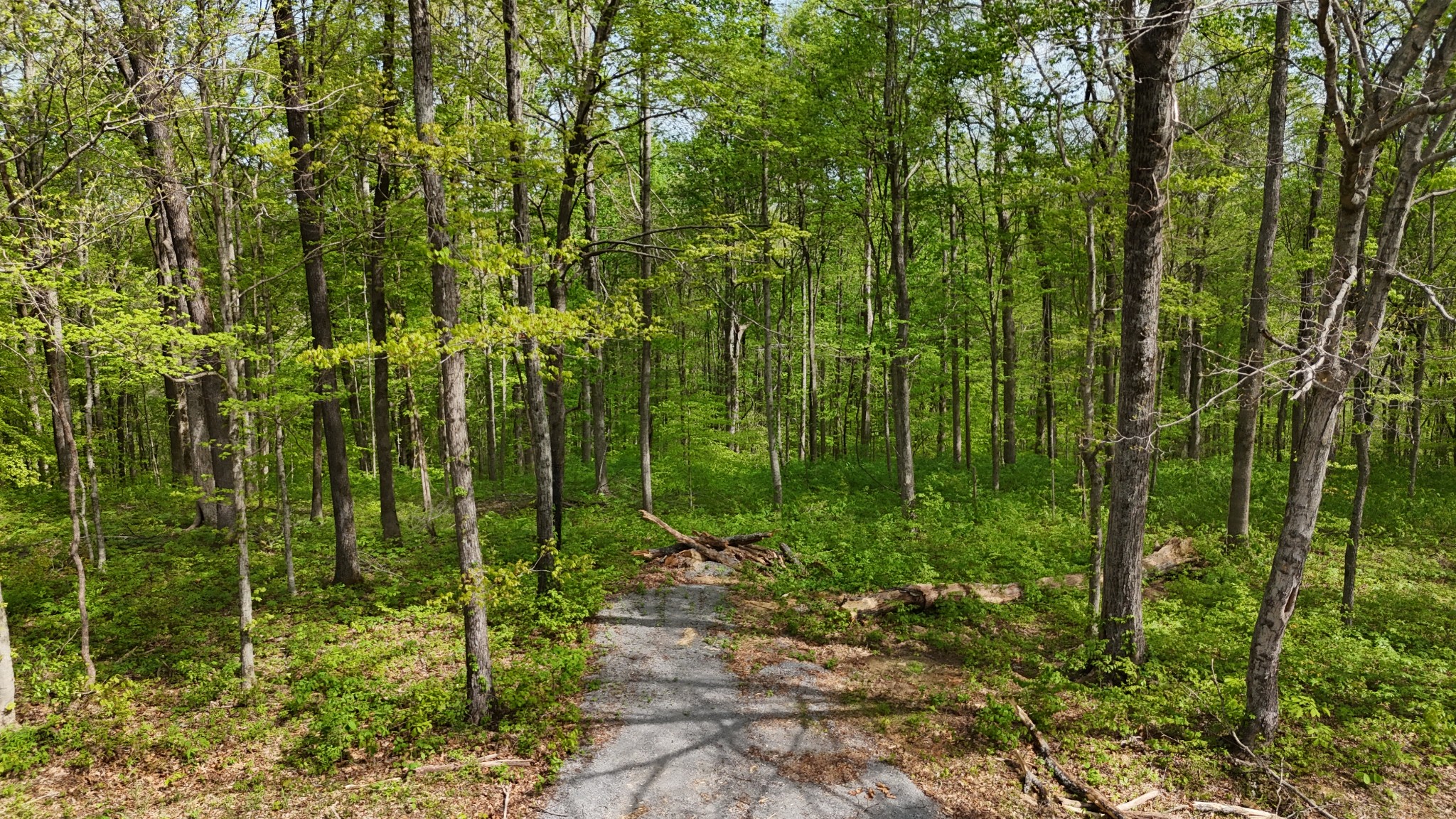 2 Greenbriar Road Franklin, TN 37064 - Photo 14 of 15