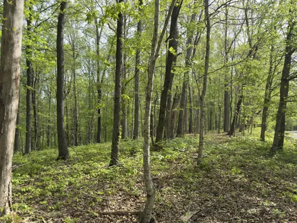 $1,320,000 | 2 Greenbriar Road, Franklin, TN 37064